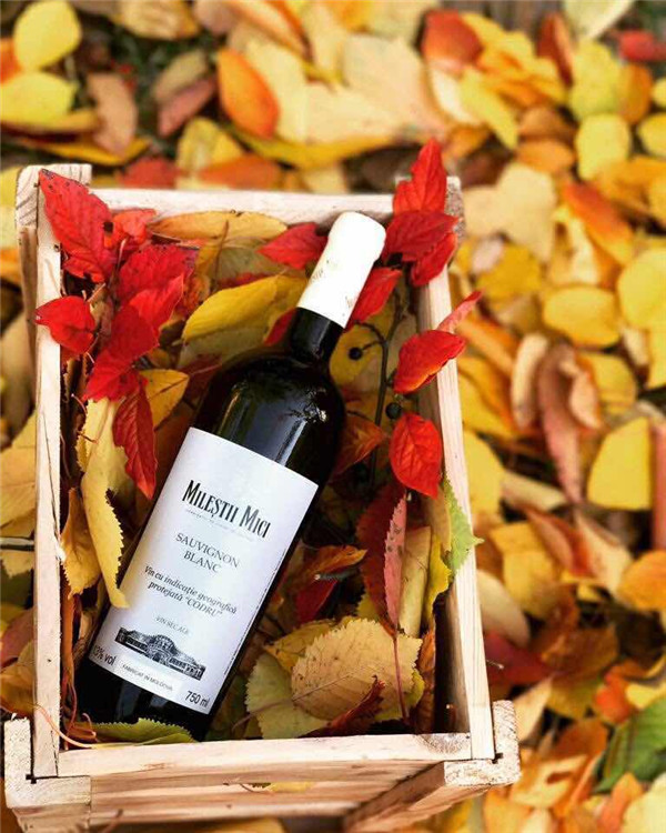 哪里原瓶進口紅酒貨源？