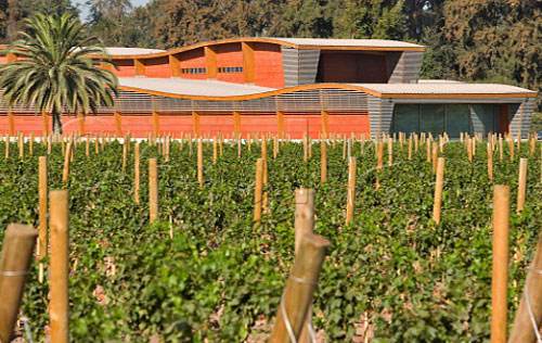 你了解活靈魂紅酒酒莊Almaviva Winery嗎?